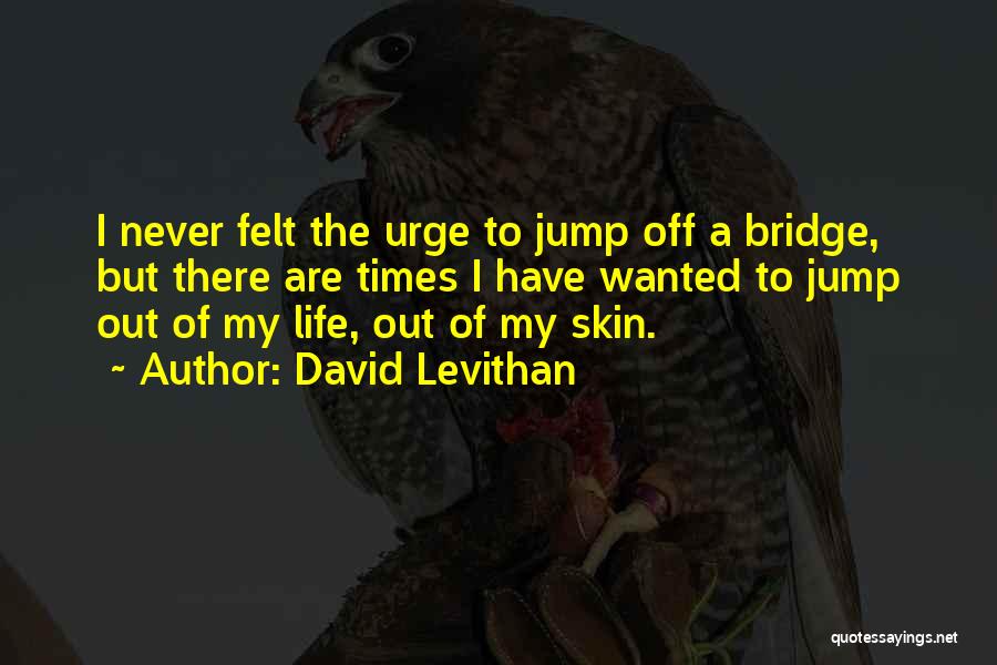 Go Jump Off A Bridge Quotes By David Levithan