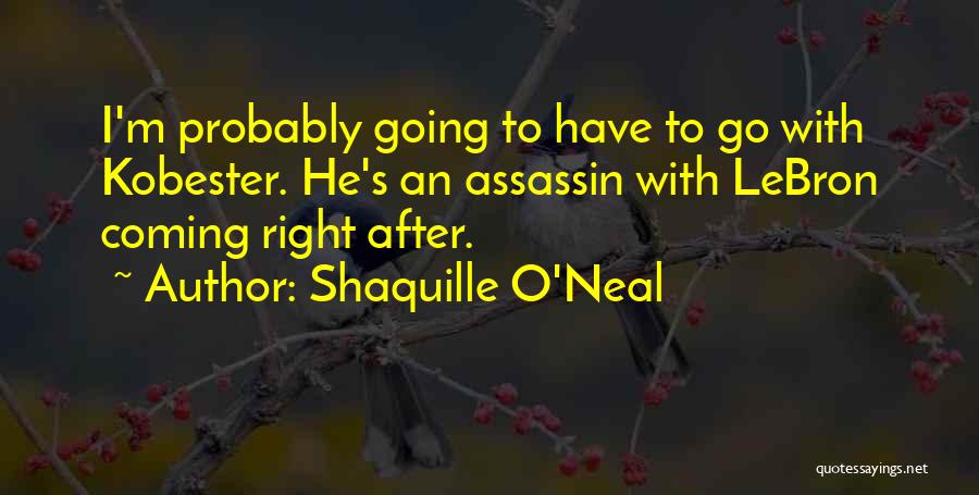 Go Lakers Quotes By Shaquille O'Neal