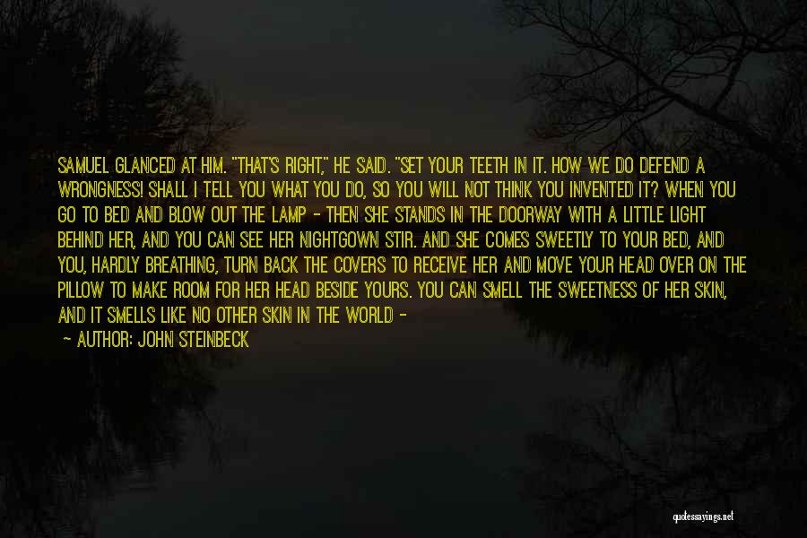 Go Light Your World Quotes By John Steinbeck