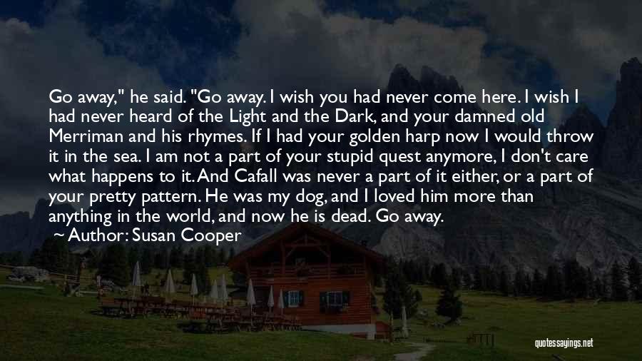 Go Light Your World Quotes By Susan Cooper