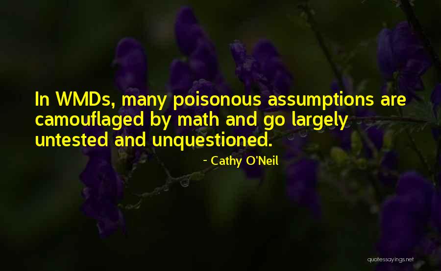 Go Math Quotes By Cathy O'Neil Go Math Quotes By Cathy O'Neil