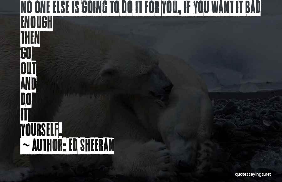 Go Out And Do It Quotes By Ed Sheeran