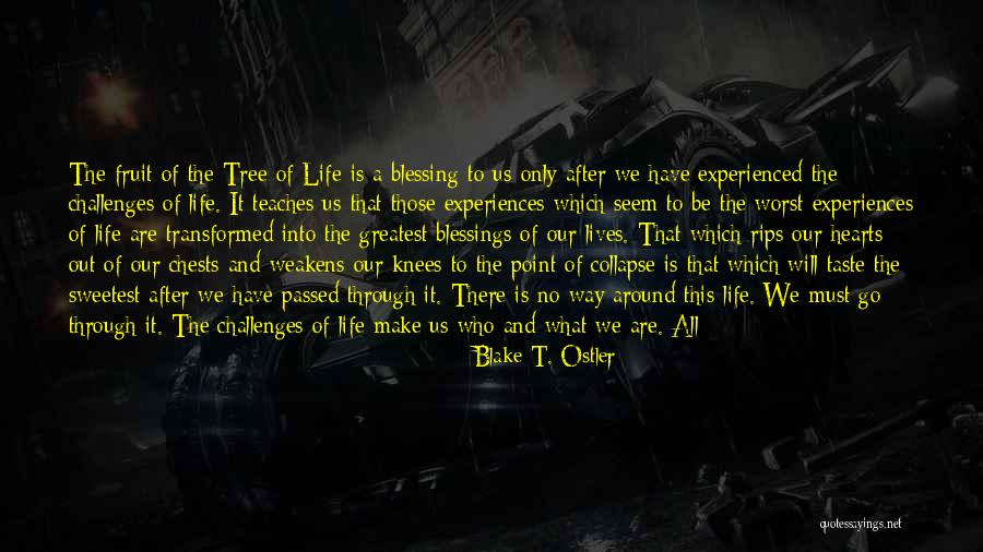 Go Out And Experience Life Quotes By Blake T. Ostler