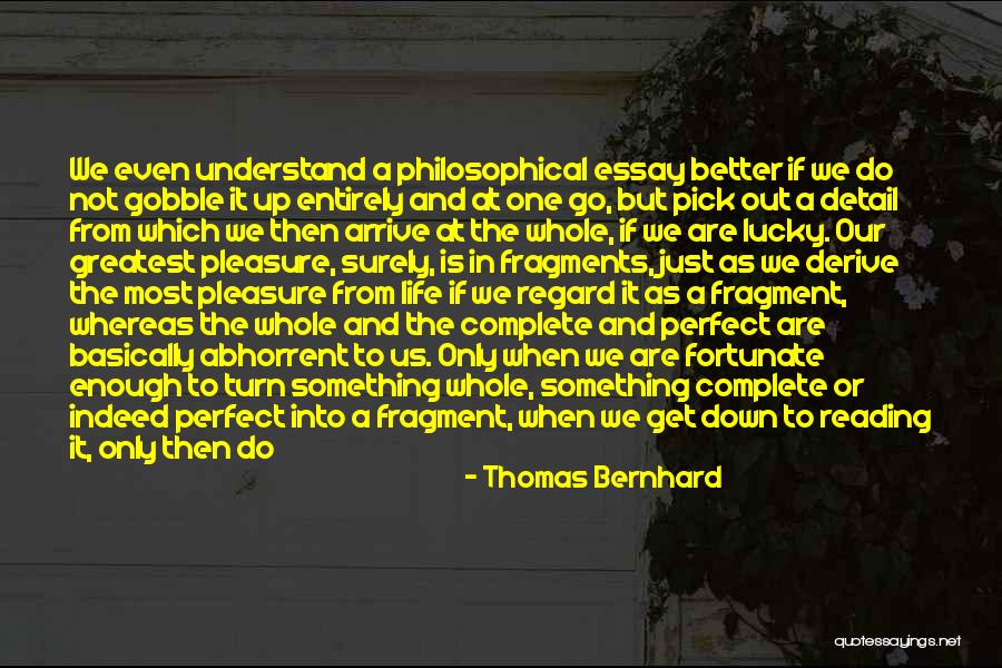 Go Out And Experience Life Quotes By Thomas Bernhard