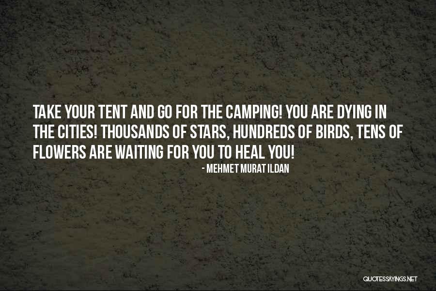 Go Tent Quotes By Mehmet Murat Ildan Go Tent Quotes By Mehmet Murat Ildan