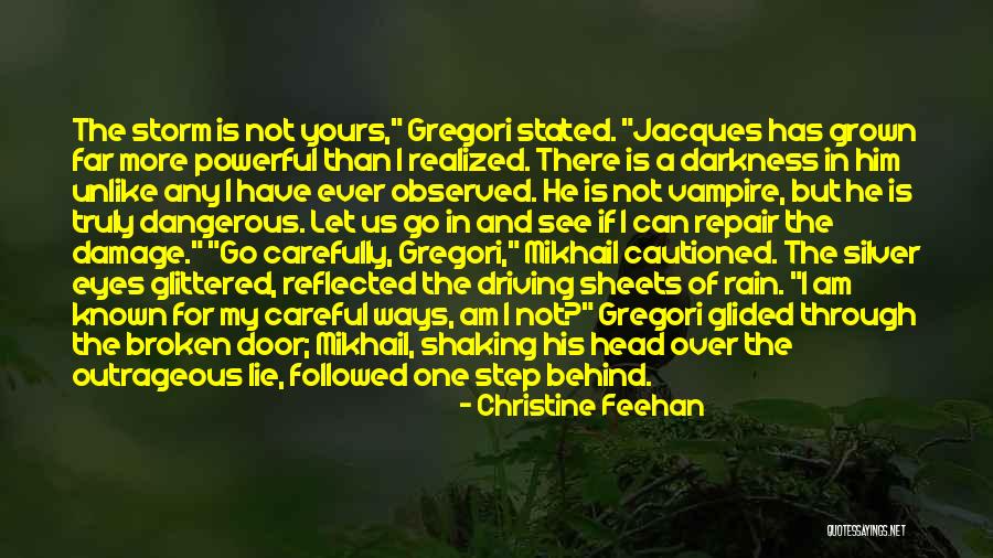 Go Through The Rain Quotes By Christine Feehan Go Through The Rain Quotes By Christine Feehan