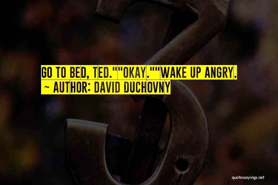 Go To Bed Angry Quotes By David Duchovny