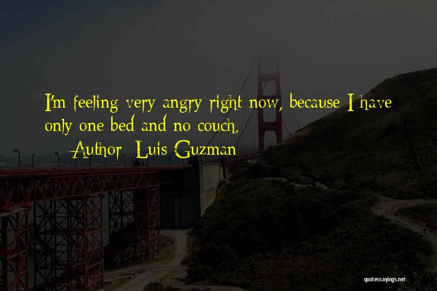 Go To Bed Angry Quotes By Luis Guzman
