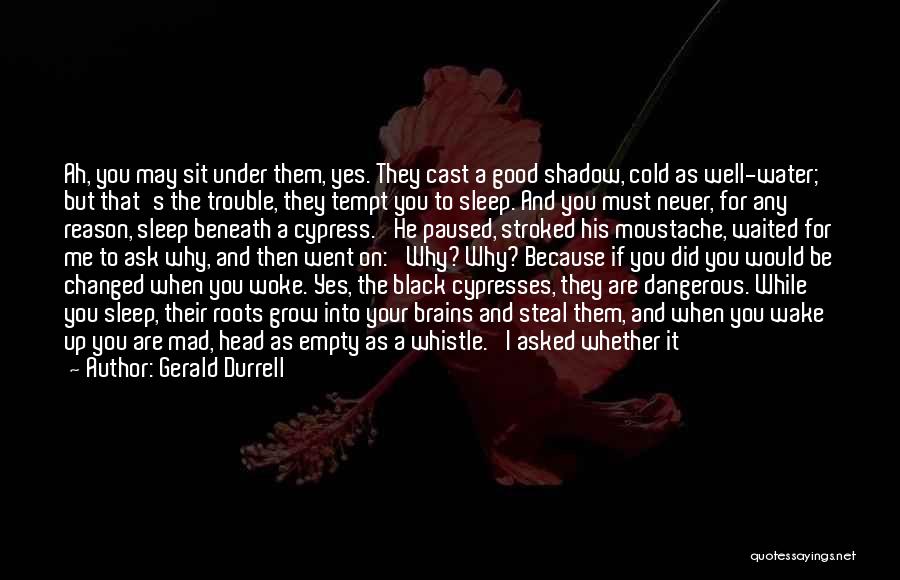 Go To Sleep Mad Quotes By Gerald Durrell