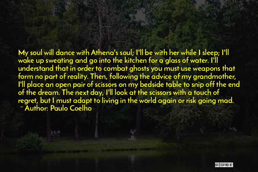 Go To Sleep Mad Quotes By Paulo Coelho