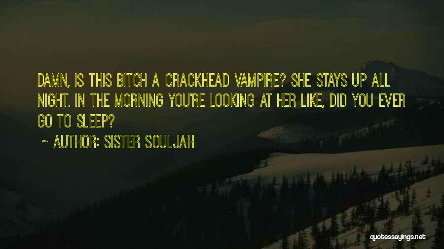 Go To Sleep Quotes By Sister Souljah