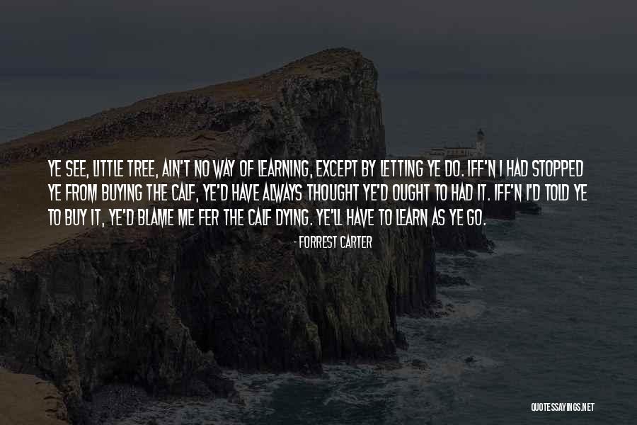 Go Tree Quotes By Forrest Carter Go Tree Quotes By Forrest Carter