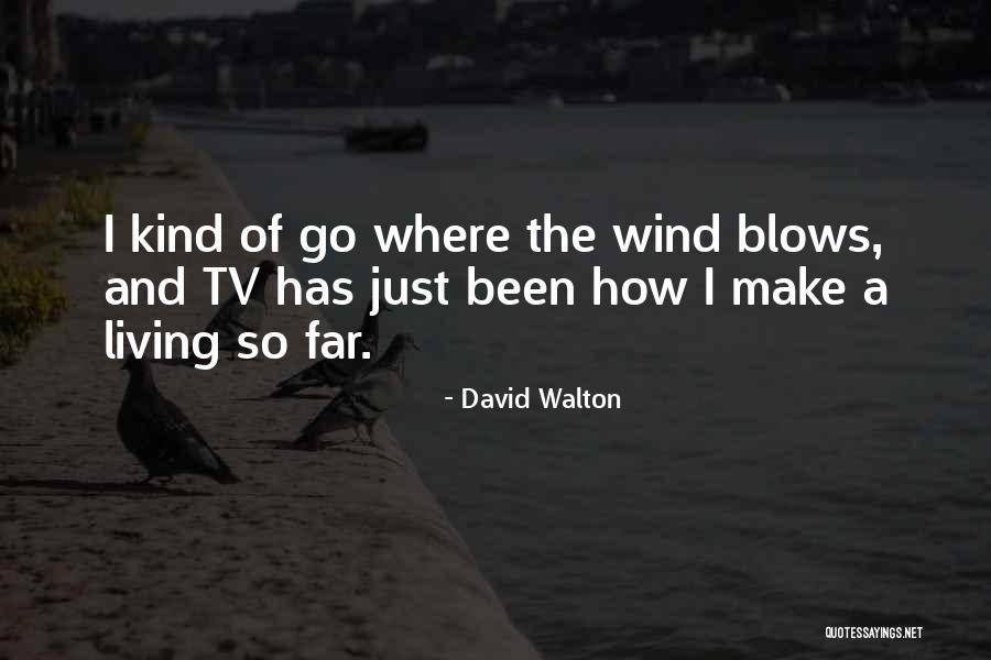Go Where The Wind Blows Quotes By David Walton