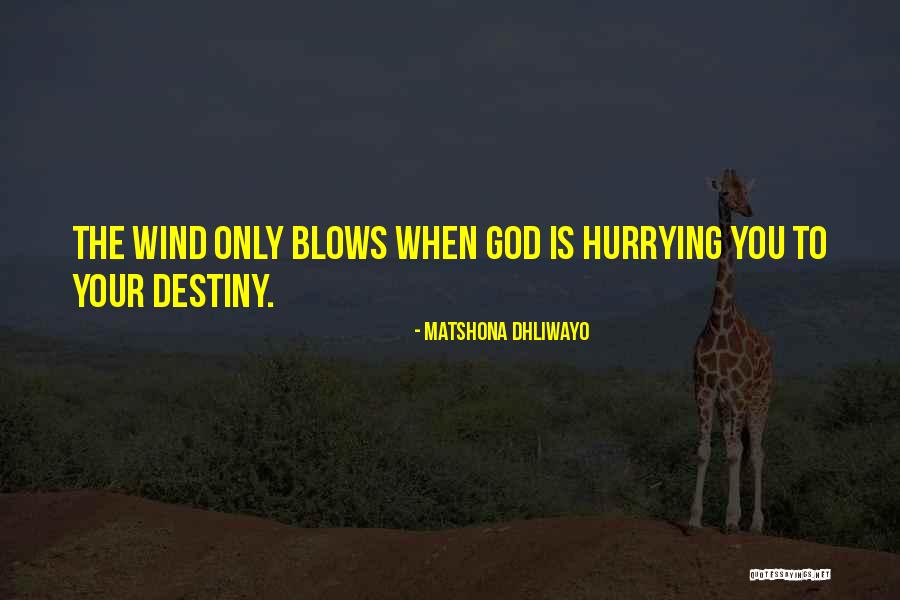 Go Where The Wind Blows Quotes By Matshona Dhliwayo