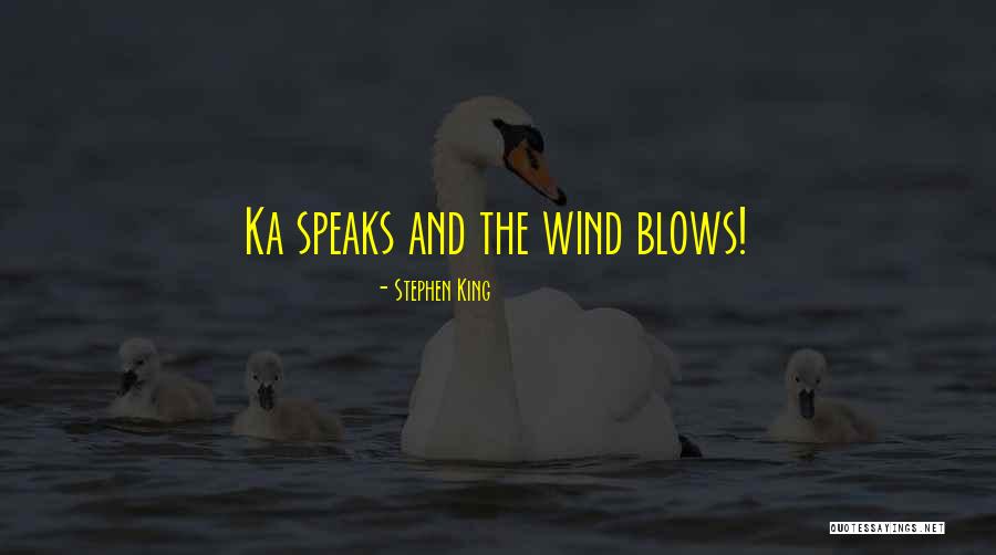 Go Where The Wind Blows Quotes By Stephen King