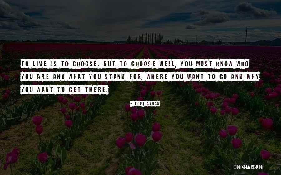 Go Where You Want To Go Quotes By Kofi Annan Go Where You Want To Go Quotes By Kofi Annan