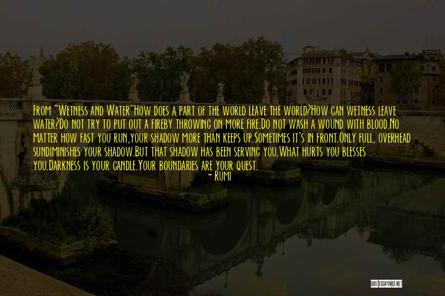 Goaded Def Quotes By Rumi Goaded Def Quotes By Rumi