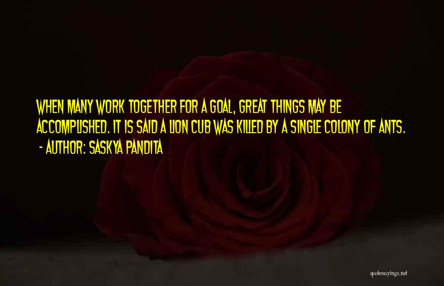 Goal Accomplished Quotes By Saskya Pandita