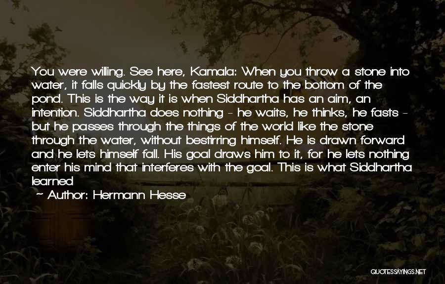 Goal Aim Quotes By Hermann Hesse