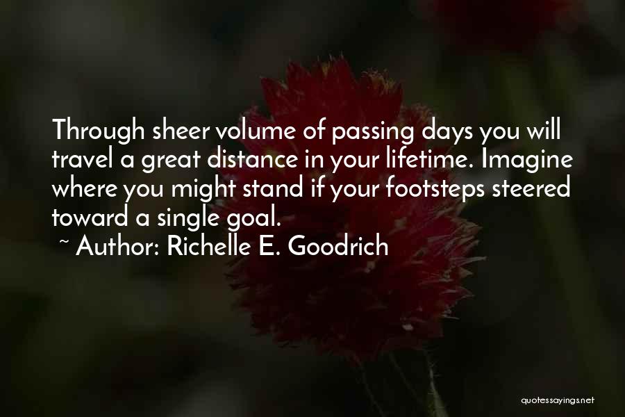 Goal Aim Quotes By Richelle E. Goodrich