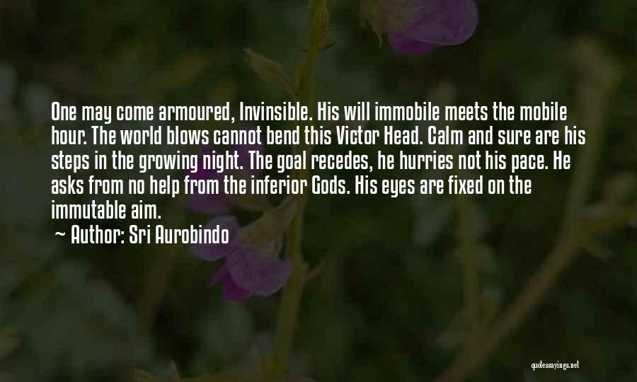 Goal Aim Quotes By Sri Aurobindo