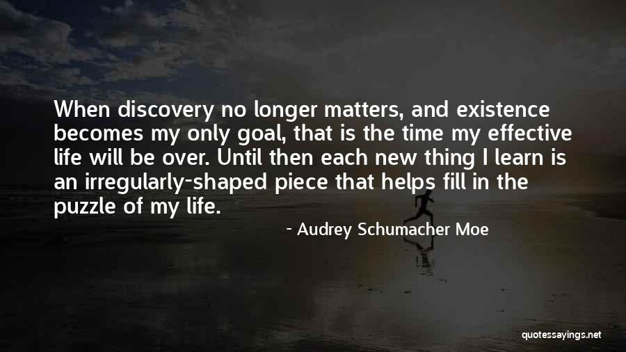 Goal Of Life Quotes By Audrey Schumacher Moe Goal Of Life Quotes By Audrey Schumacher Moe