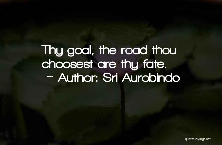Goal Quotes By Sri Aurobindo