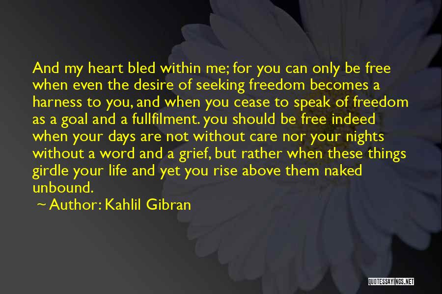 Goal Seeking Quotes By Kahlil Gibran