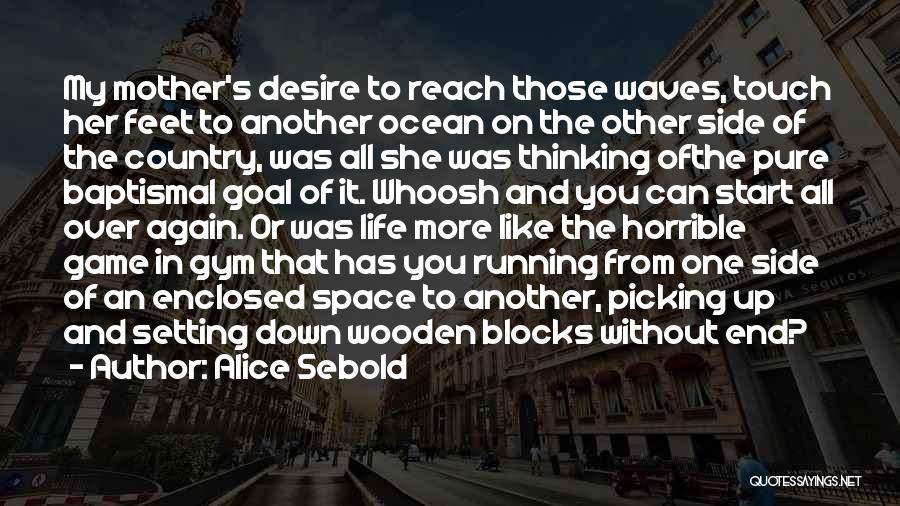 Goal Setting In Life Quotes By Alice Sebold