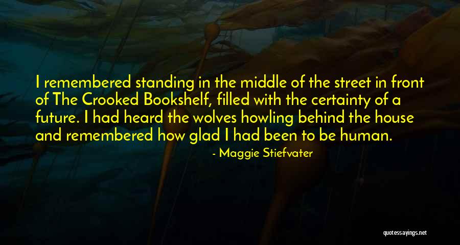 Goal Tracking Quotes By Maggie Stiefvater Goal Tracking Quotes By Maggie Stiefvater