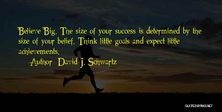 Goals And Achievements Quotes By David J. Schwartz