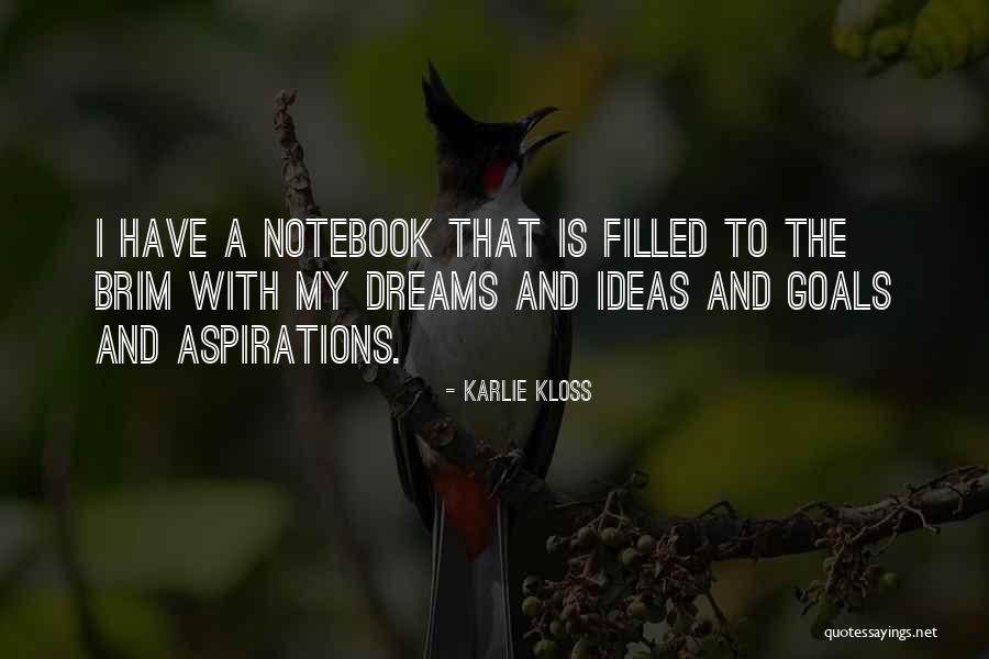 Goals And Aspirations Quotes By Karlie Kloss