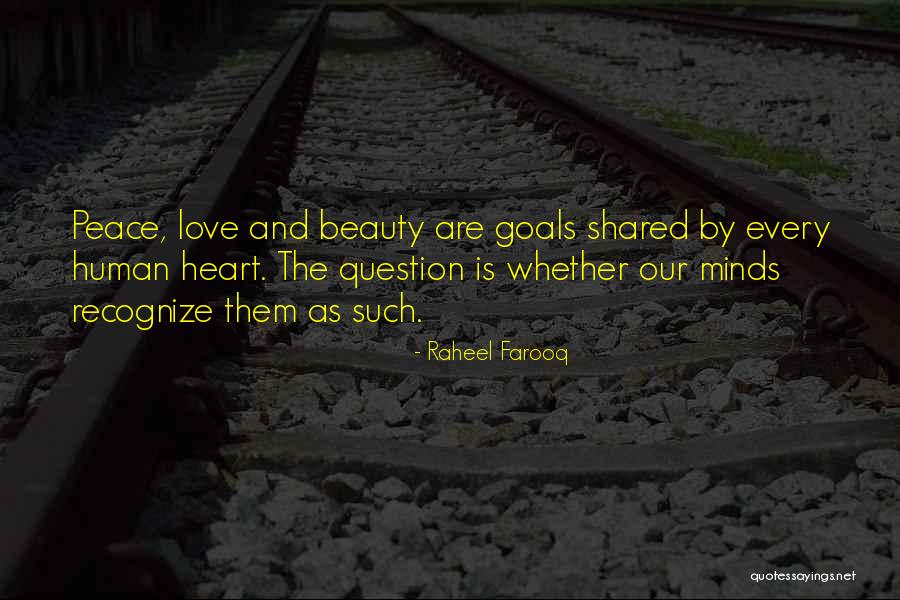 Goals And Aspirations Quotes By Raheel Farooq