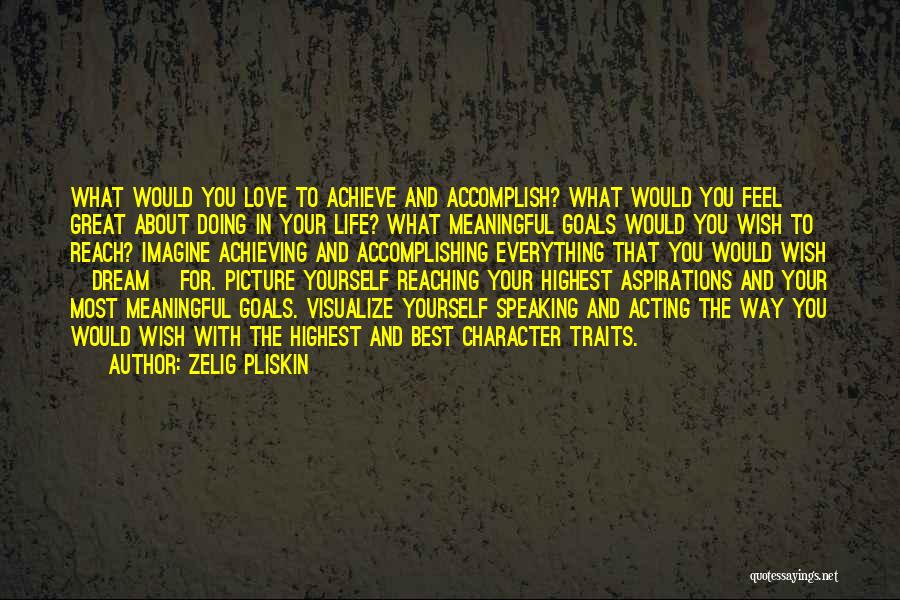 Goals And Aspirations Quotes By Zelig Pliskin