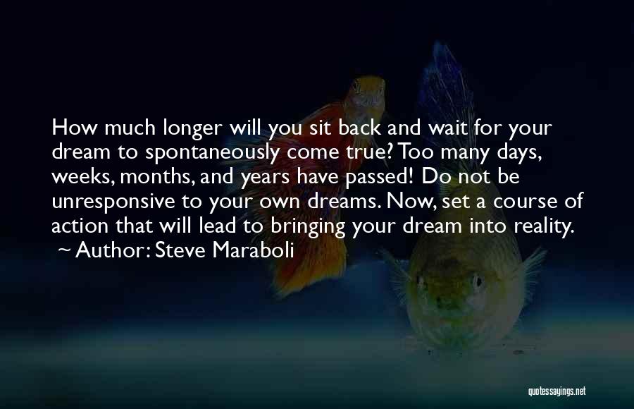 Goals And Happiness Quotes By Steve Maraboli