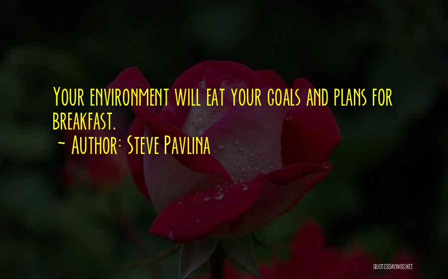 Goals And Plans Quotes By Steve Pavlina