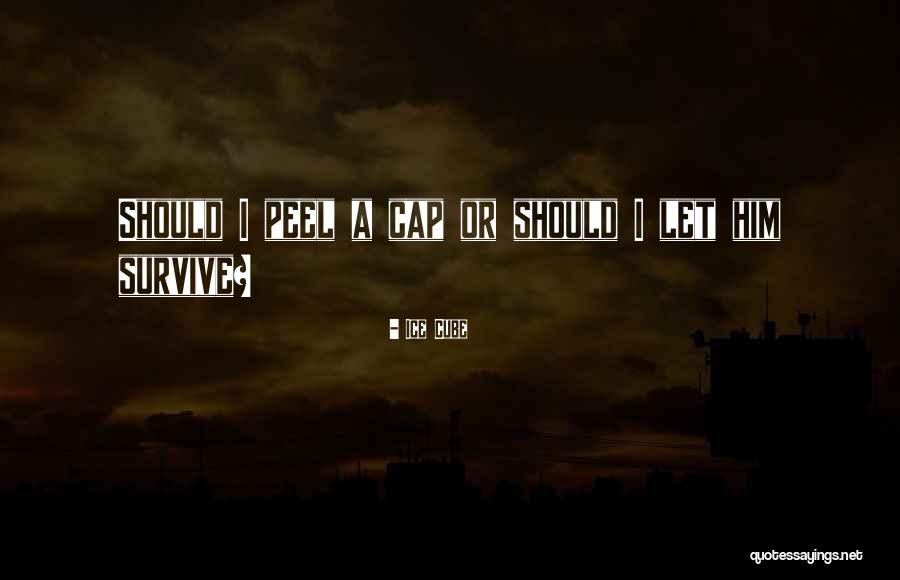 Goandfind Quotes By Ice Cube Goandfind Quotes By Ice Cube