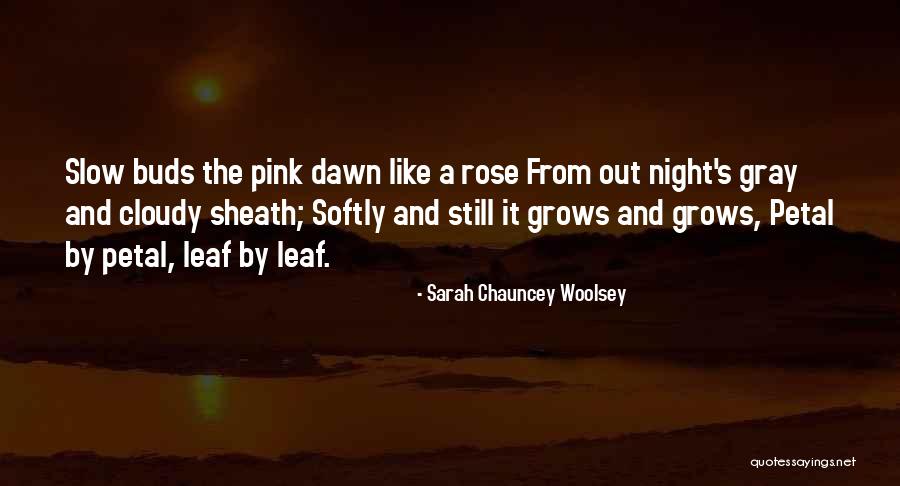 Gobbledegook Examples Quotes By Sarah Chauncey Woolsey Gobbledegook Examples Quotes By Sarah Chauncey Woolsey