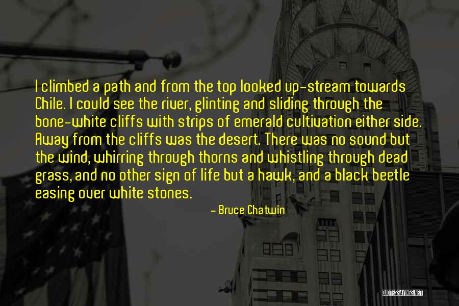 Gobierno De La Quotes By Bruce Chatwin Gobierno De La Quotes By Bruce Chatwin
