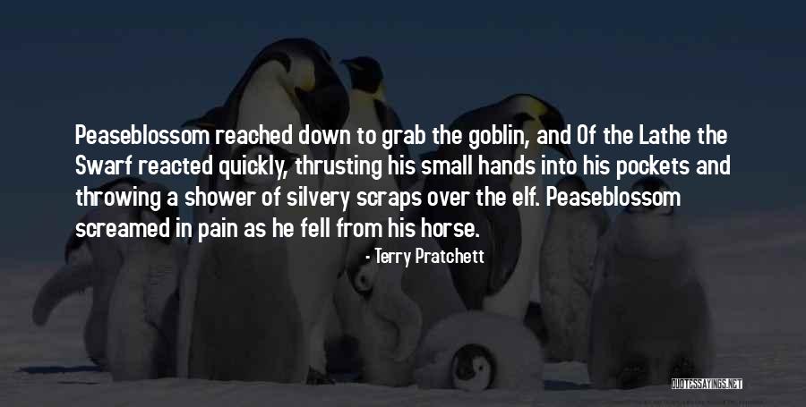 Goblin Quotes By Terry Pratchett