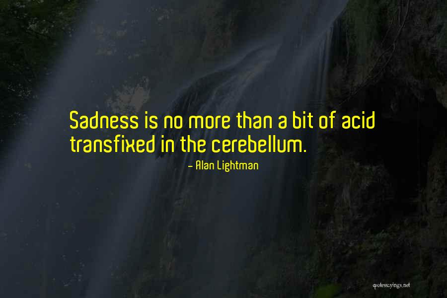 Goblin Sharks Quotes By Alan Lightman