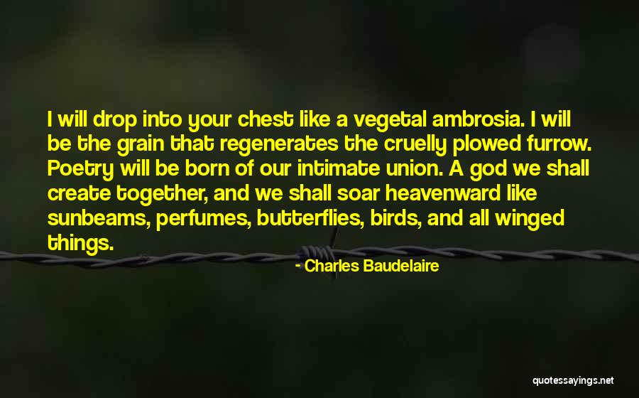 God And Butterflies Quotes By Charles Baudelaire