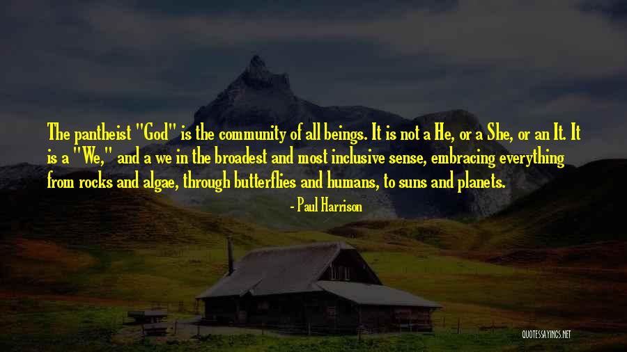 God And Butterflies Quotes By Paul Harrison