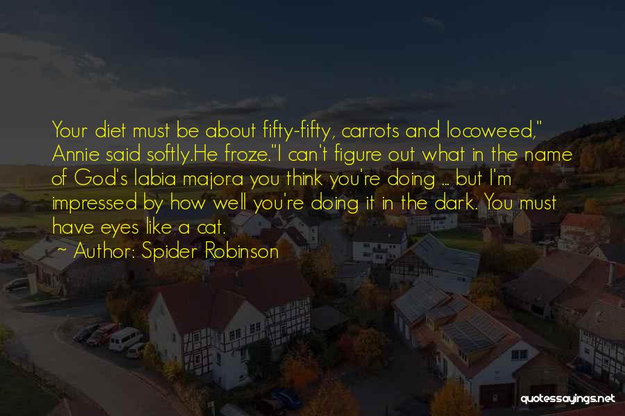 God And Darkness Quotes By Spider Robinson