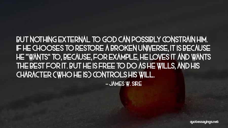 God And Free Will Quotes By James W. Sire God And Free Will Quotes By James W. Sire