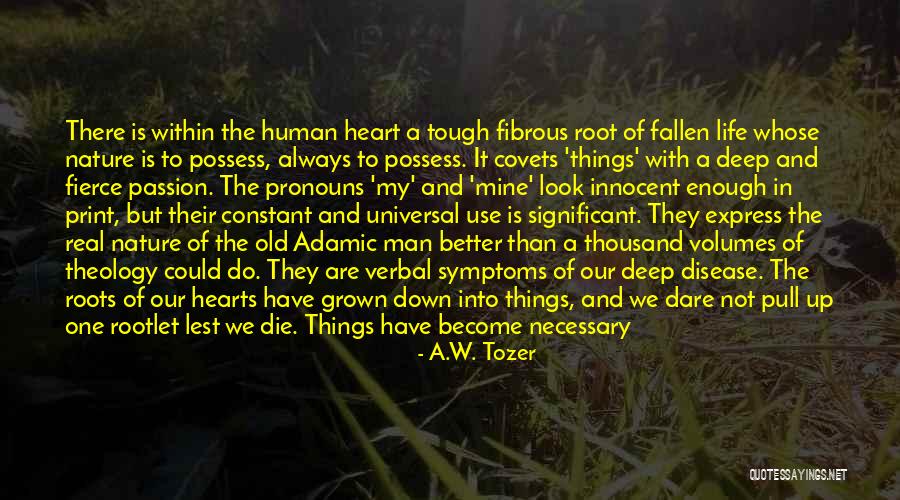 God And Nature Quotes By A.W. Tozer