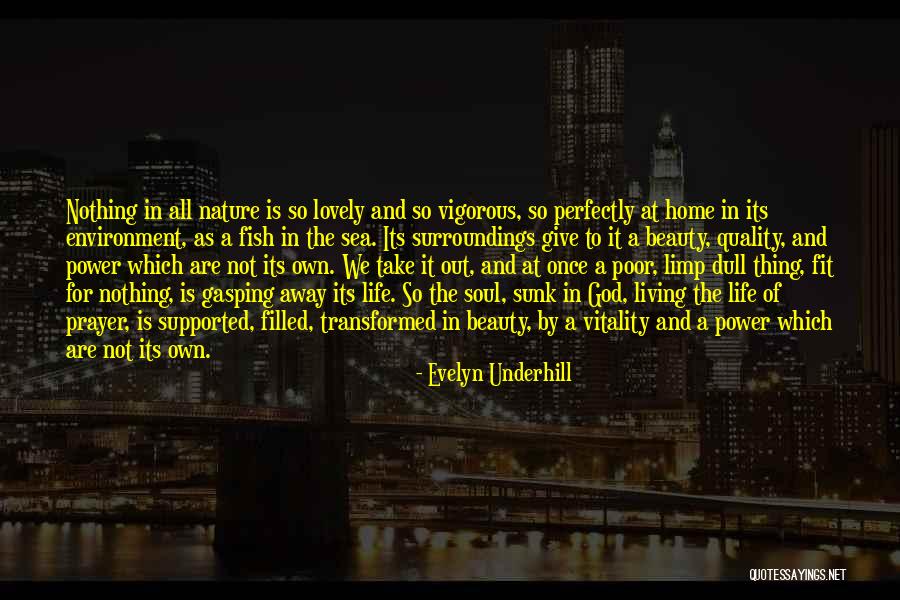 God And The Environment Quotes By Evelyn Underhill