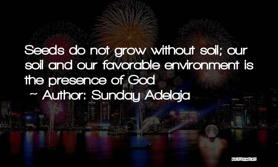 God And The Environment Quotes By Sunday Adelaja