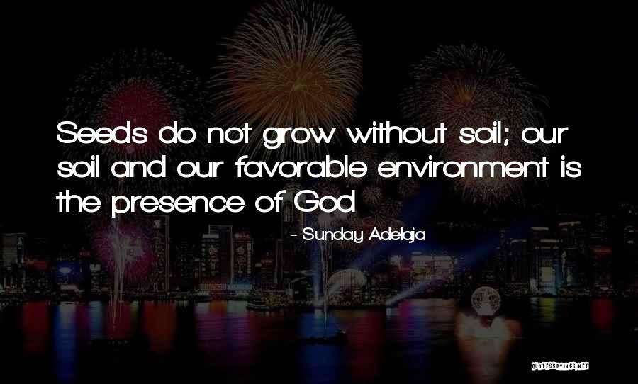 God And The Environment Quotes By Sunday Adelaja