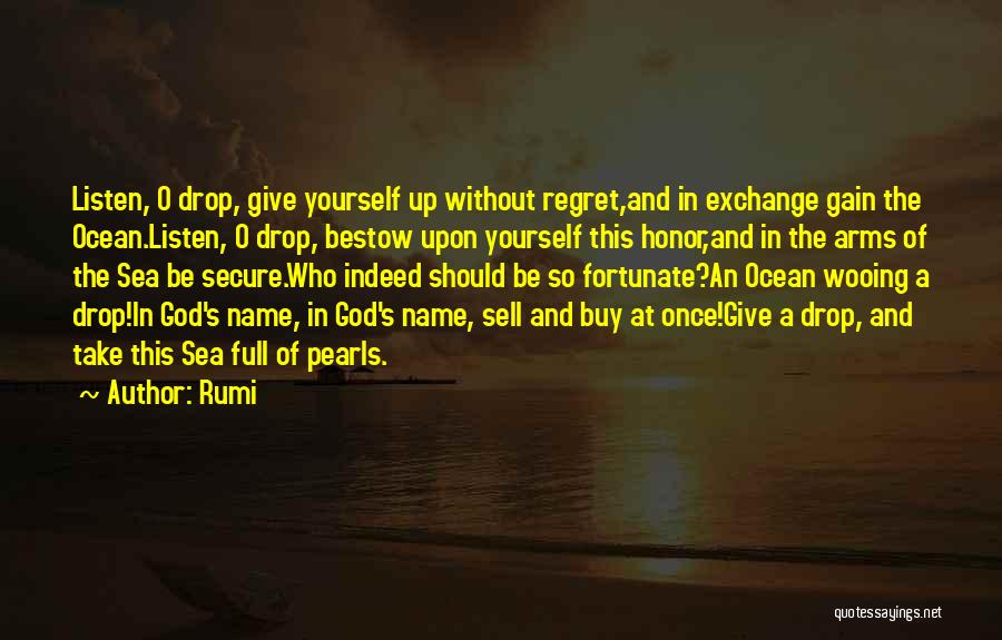 God And The Ocean Quotes By Rumi